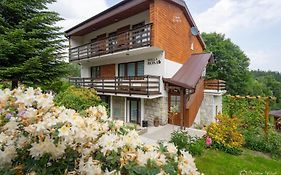 Willa Rosa-apartamenty z prywatną sauną